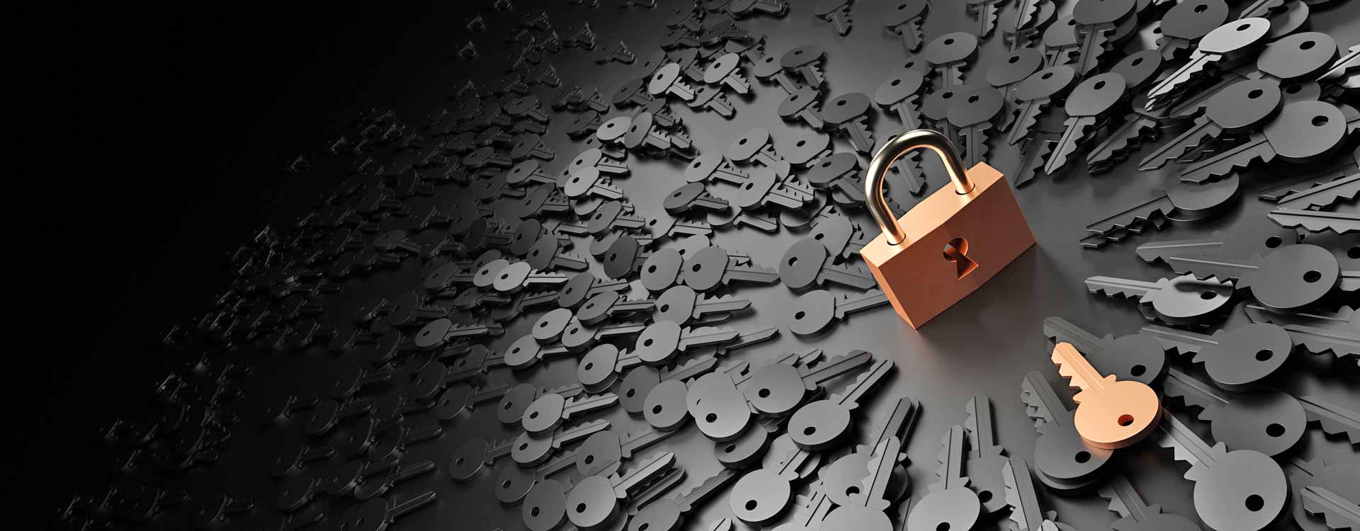 Aktuelles von Themis